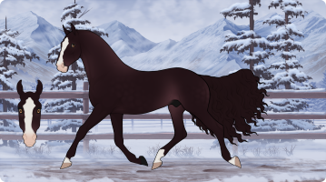 Thumbnail for 9208 DAR Blackwater Currant