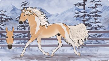 Thumbnail image for 9222 WG Isle Of Gold