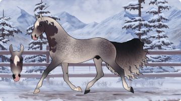 Thumbnail for 7221 RA Caesar On A TV Screen