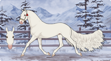 Thumbnail for 9235 RA Snow Lands On Top