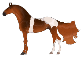 Thumbnail of 8834 Red Sky at Dawn