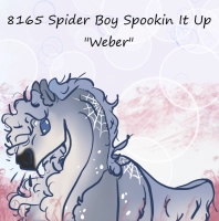 Thumbnail of 8165 Spider Boy Spookin It Up