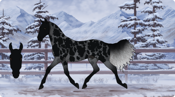 Thumbnail for 1807 VF Don't Go Insane