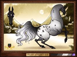 Thumbnail for 2763 Shades Of Night VVT
