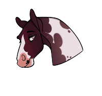 Thumbnail for 7973 FMA Sin City