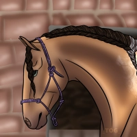 Thumbnail for 9247 AS She Who Always Counted