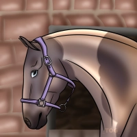 Thumbnail for 8985 The Castle Never Falls