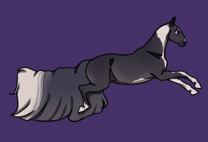 Thumbnail for 8984 EM’s Nocturna