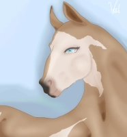 Thumbnail of 9096 LSE Blonde