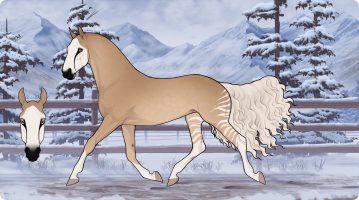 9292 MF Blackout Thumbnail