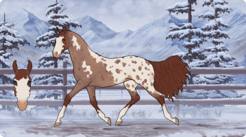 Thumbnail for 5753 Mort's Mosstowie