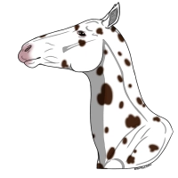 Thumbnail of 7625 Crimson She-Leopard