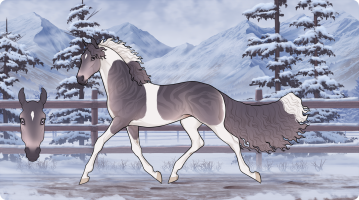 Thumbnail for 9355 PF Miata