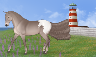 Thumbnail for 4828 LH Margarita