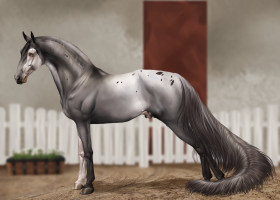 Thumbnail for 0346 Don Nobless