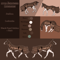 Thumbnail of 1930 WG Espresso Cremeux