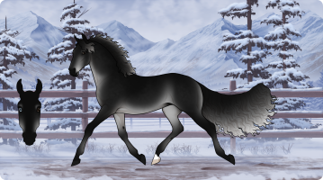 Thumbnail of 4731 JSS Black Dog