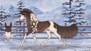 Thumbnail for 7043 RA Termina