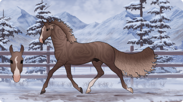 Thumbnail for 9362 Mocha Darling