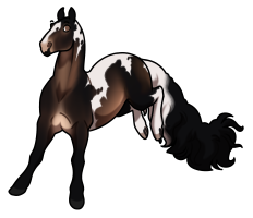 Thumbnail of 9287 Sperandeo