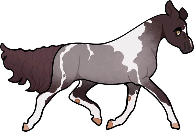 5887 Mort's Cajza Cavat