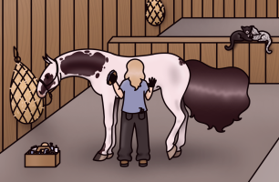 Thumbnail for 6452 Magpie