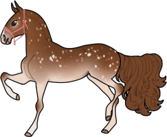 Thumbnail for 2624 JSS Lost and Found