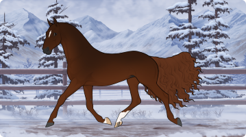 Thumbnail for 9505 Buckeye