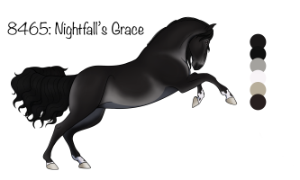 Thumbnail of 8465 Nightfall's Grace