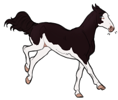 4823 Rosemary Thumbnail