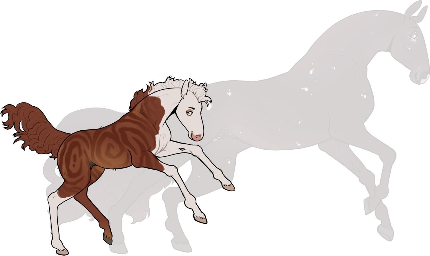 9517 MF Summer Solstice