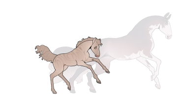 Thumbnail for 9520 Lemongrass