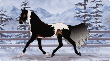 Thumbnail for 9543 Swarms at Plum Creek