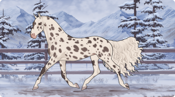 Thumbnail for 9547 Frosty Morning Poinsettias