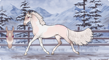 Thumbnail for 9556 SWA Sparkling Chai Tea