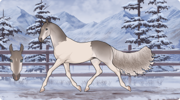 Thumbnail for 8768 Daisy Dukes