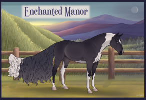 Thumbnail for 8984 EM’s Nocturna