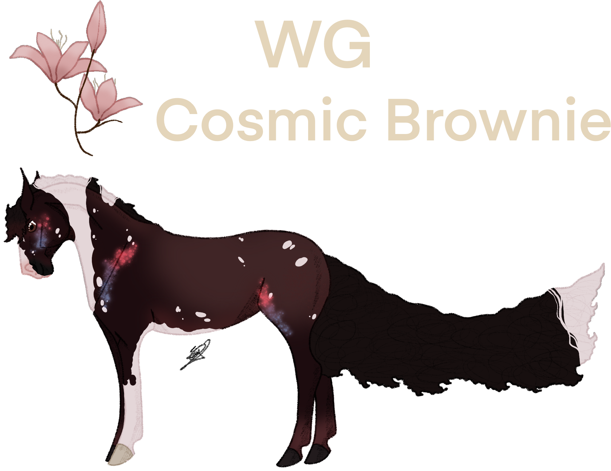 9532 WG Cosmic Brownie