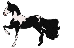 Thumbnail for 9595 Magpie Mirage