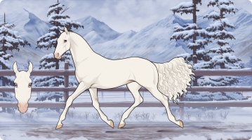 Thumbnail for 9601 KJS Snowdrift