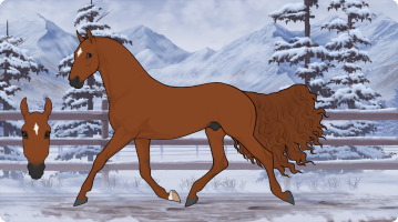 Thumbnail for 9735 Crimson Sequoia