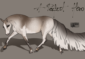Thumbnail of 9151 A Perfect Hero