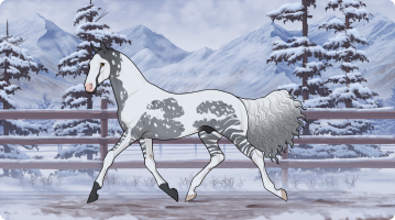 Thumbnail for 9783 Snowball Splash