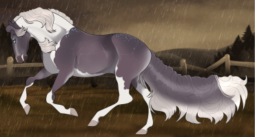 Thumbnail for 9051 RWS Reckless And Weary