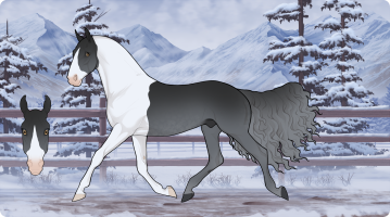 Thumbnail for 9802 Lakeside's English Gentleman