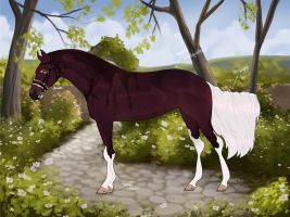 Thumbnail of 6908 SDE Rosary