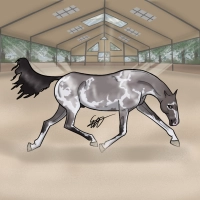 Thumbnail for 0440 Rainforest Sloth