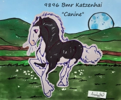 Thumbnail image for 9896 Bmr Katzenhai