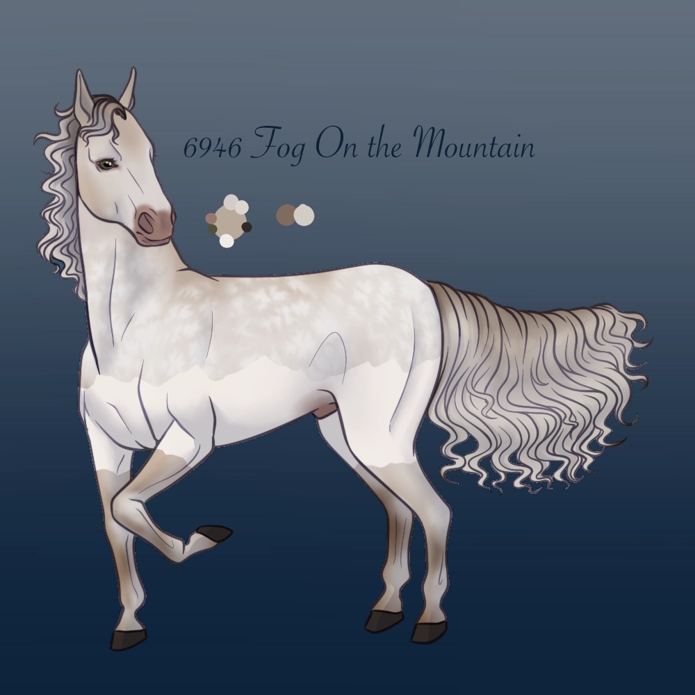 6946 Fog On the Mountain