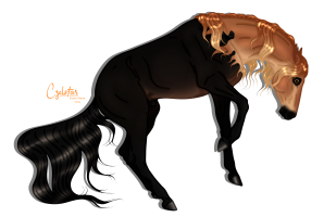 Thumbnail for 9812 JSS Hocus Pocus